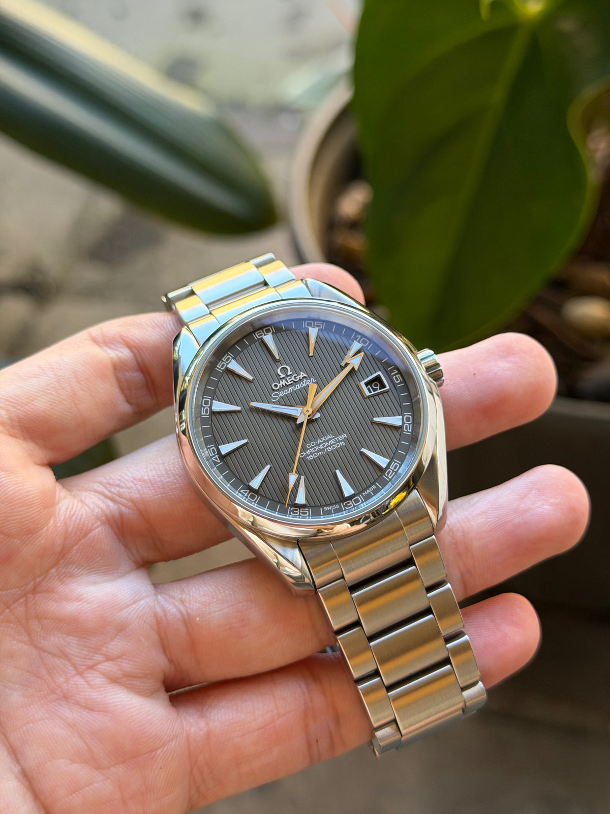 Omega Aqua Terra 41.5mm 231.10.42.21.06.001 box and papers
