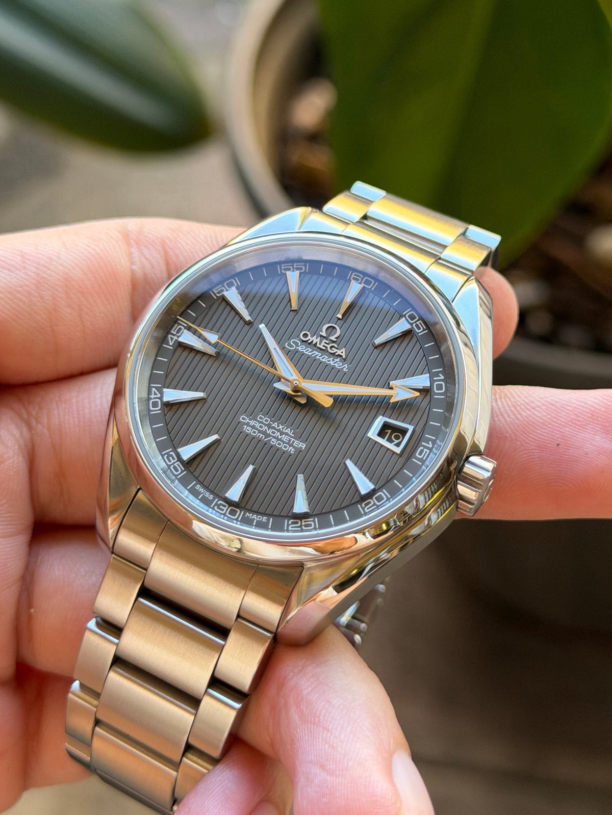 Omega Aqua Terra 41.5mm 231.10.42.21.06.001 box and papers