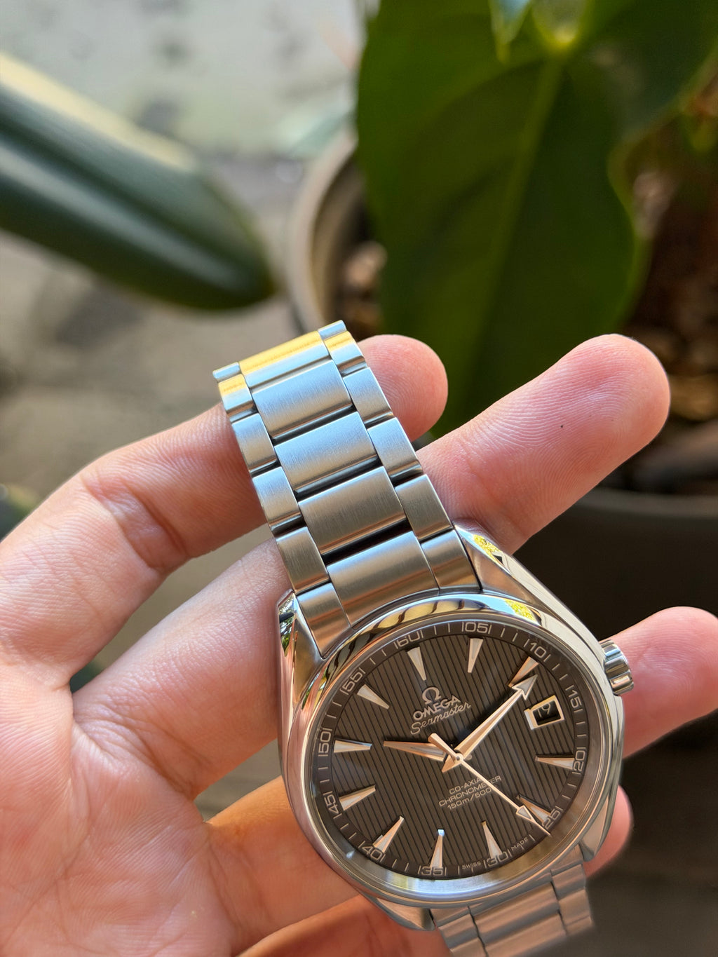 Omega Aqua Terra 41.5mm 231.10.42.21.06.001 box and papers