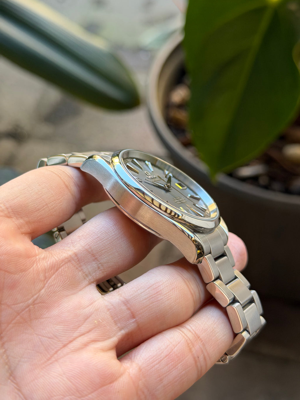 Omega Aqua Terra 41.5mm 231.10.42.21.06.001 box and papers